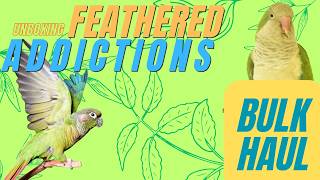 Toy Part Bulk Haul (Feathered Addictions) | Unboxing