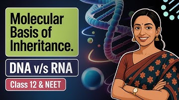DNA, RNA & genetic material Class 12 Biology | Molecular Basis of Inheritance for NEET and CUET