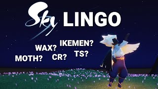 Sky Language Explained for Beginners | Sky : Children of The Light ✨