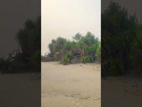 Silent sea beach#satabhaya #rajnagar #kendrapara #odishatourism #travel #india #peace