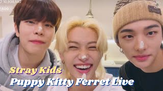 [ENG SUB] Puppy Kitty Ferret Live (Hyunjin & Felix & Seungmin) 211201