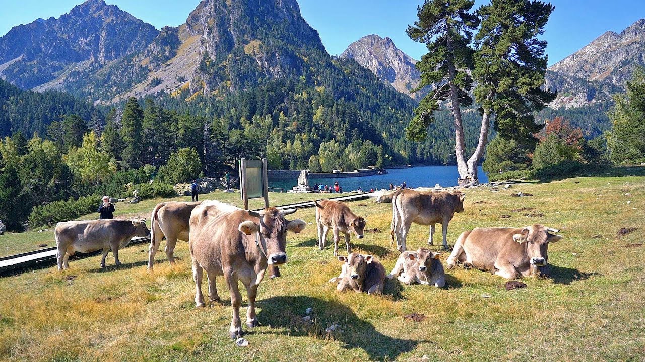Viajes en Familia / Ruta con niños / Visitas y turismo por Lleida, lugares recomendados tour