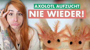 Kann man Axolotl rausnehmen?