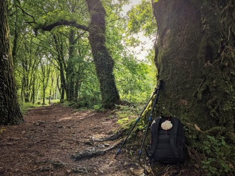 Video: Descripción y fotos del Fuerte Santiago (Fortaleza de Santiago) - Portugal: Sesimbra