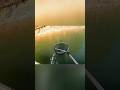 TANK Bass SLAMS Inline Spinner!!