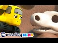 Dinosaur Bones - Best of @Digley and Dazey - Trucks For Kids ! Kids Cartoons