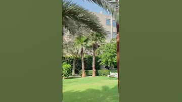 Life in isp multan❤️ #shorts