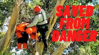 How To Setup A Fiddle Block For Tree Climbing