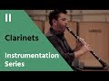 Clarinet & Bass Clarinet - David Newman Instrumentation Series
