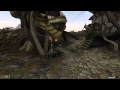 Morrowind.exe - Speed at 100, no carry weight