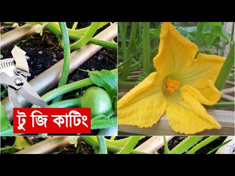 ভিডিও: কিভাবে সাইক্লোক্রস রেস করবেন: আপনার প্রথম ক্রস রেসের জন্য সাইক্লিস্ট গাইড