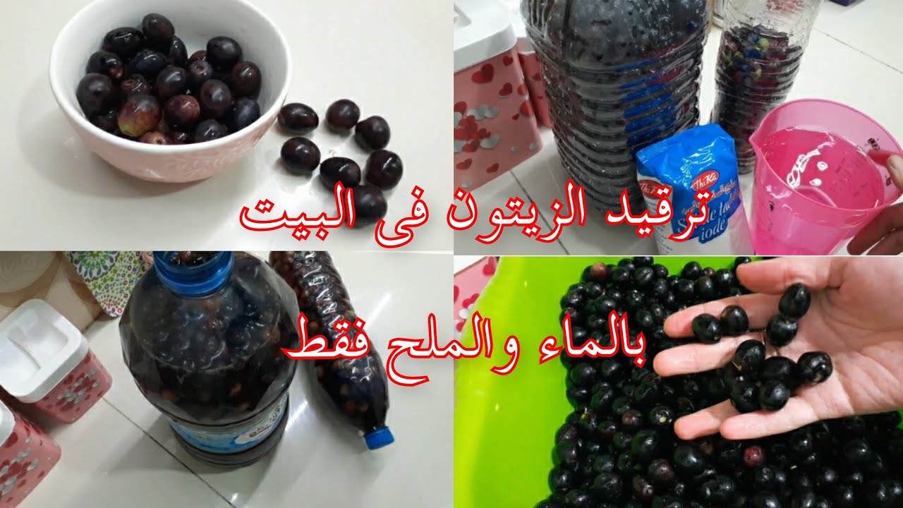 طريقة ترقيد الزيتون الاسود بالطريقة التقليدية بالماء والملح فقط بدون مواد حافظة