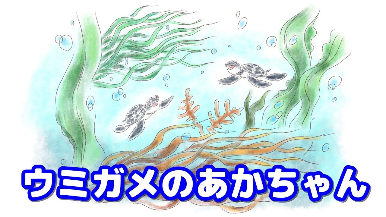 絵本 読み聞かせ 海亀の赤ちゃん うみがめのあかちゃん 夏に読みたい仲間の大切さや生体が学べるウミガメの成長物語 Youtube