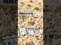 明暗わかれる！考えなしが勝つ多肉の葉挿し #succulent #多肉植物 #エケベリア #モキモキ