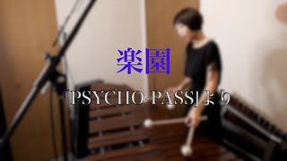 【PSYCHO-PASS】「サイコパス」より　楽園　〜Marimba cover〜　【ついに弾いてみた！】