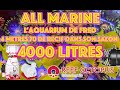 Les premiers mois de l aquarium rcifal de 4000 l