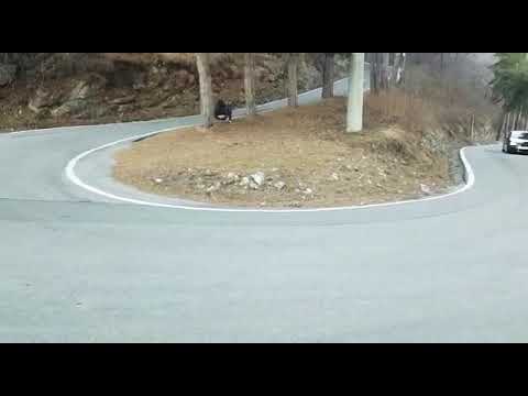 Vw Golf R32 Mk5 Sound Full Skat Milltek Exhaust Vw Golf R32 Mk5 Sound Full Skat Milltek Exhaust