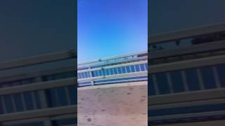 Rose And Anthony Gaming And Vlogs