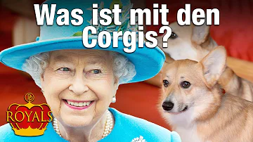 Welche Rasse züchtete die Queen?