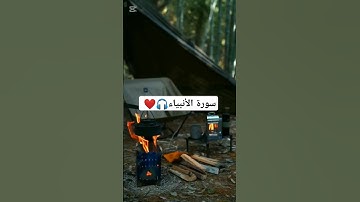 أجواء هادئة مع تلاوة من سورة الأنبياء 🌿 #تلاوة_خاشعة #قران_كريم