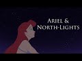 Fan animation ii ariel  northlights  bonus