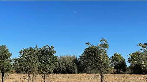 Jean Gebser and the "Evolution" of Consciousness