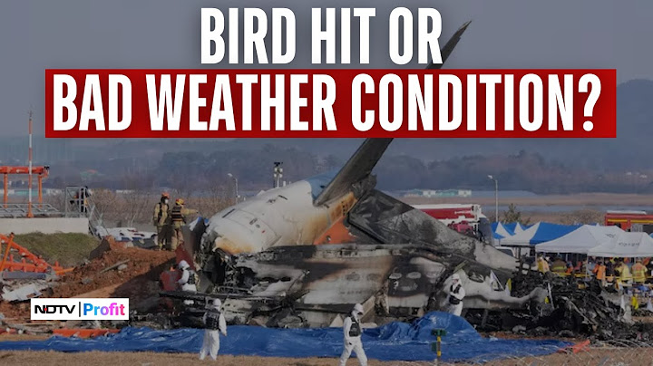 What Caused The South Korea Plane Crash?