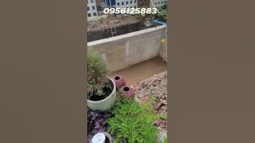 งานขยายบ่อปลา แก้ระบบกรอง |พีเทค แชนแนล |รับทำบ่อปลาคราฟเชียงใหม่ #shorts