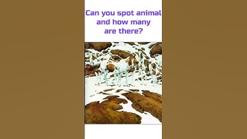 Can you spot the animal in the picture? #puzzlebits #puzzlequestions #puzzle