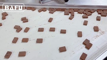 chocolate packaging machine, chocolate packaging line, automatic packaging machine, flow wrapper