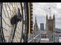 Behind the scenes | Big Ben renovation