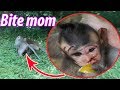 Why Don't Pity baby monkey? - Please stop, Pity baby monkey, TM #346