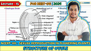 Lec 15- Structure of Ovule| Sexual Reproduction in Flowering Plants| Class 12