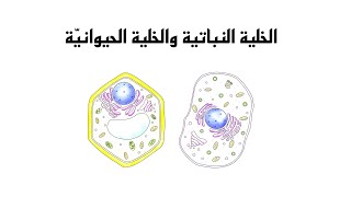 الخلية النباتية والخلية الحيوانية - علوم الصف السادس الابتدائي