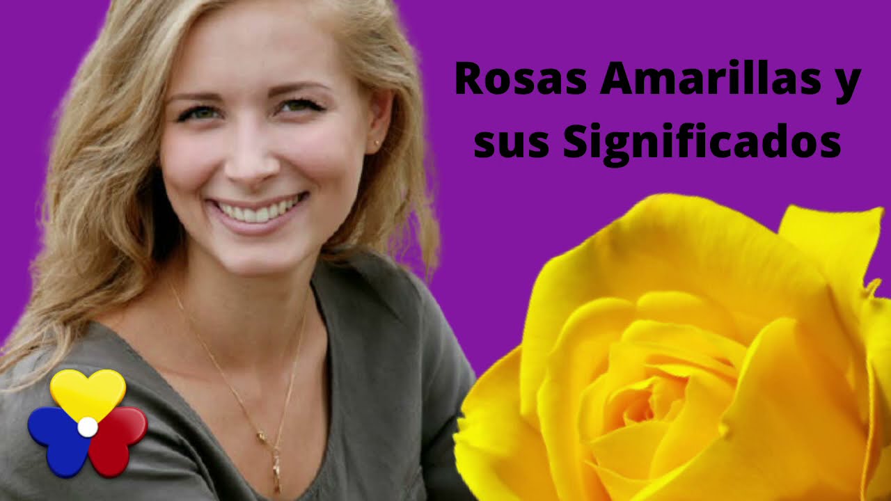 Rosas amarillas significado y cuando regalar ✓