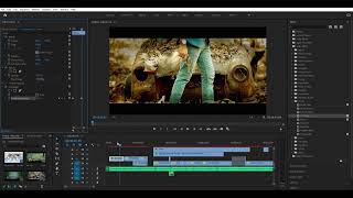 Adobe Premiere Pro #find edges effect#premier pro effect#premier pro tutorial#plugins premier pro#