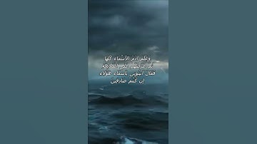 سورة البقرة اية 31 - مع صوت البحر بصوت جميل - وَعَلَّمَ آدَمَ الأَسْمَاء كُلَّهَا ثُمَّ عَرَضَهُمْ