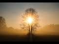 Nature Soundscape Healing Nature + Nature + Nature + Nature + Nature