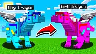 BOY vs GIRL MINECRAFT DRAGON BATTLE!