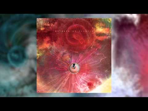 ANIMALS AS LEADERS - The Woven Web