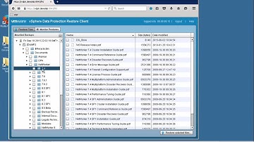 VMware Data Protection Appliance: File level recovery from image level backup