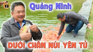 Ăn Kẹo CU ĐƠ ở Chân Núi YÊN TỬ, QUẢNG NINH | Ẩm Thực & Đời sống với MC Việt Thảo | CBL 1796