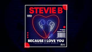 Stevie B - Because I Love You (TZESAR 2022 Remix)