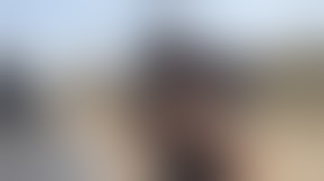 Fostech Echo Trigger  on CMMG Dedicated 22 LR Carbine Upper