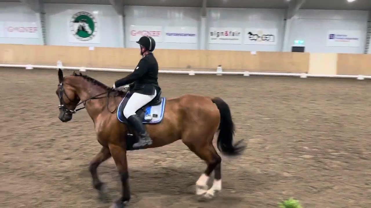 Dressyrtävling i klass LB:3, 2023-07-30