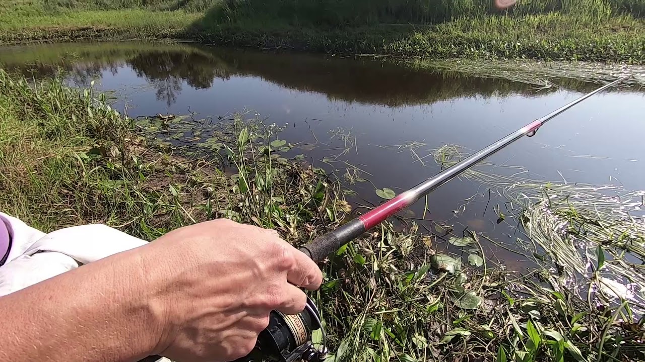 Речка черная Ленинградская область рыбалка. Утечка для рыбалки.