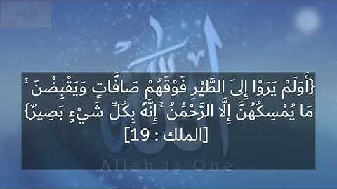 قرآن كريم قراءة جميلة للقارئ يوسف عثمان من أواخر سورة الملك لاتنسونا من صالح دعائكم