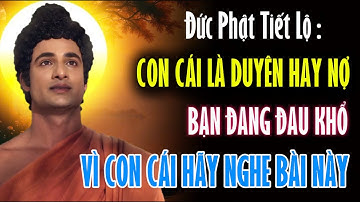 Đức Phật Tiết Lộ : Con Cái Là Duyên Hay Nợ - Bạn Đang Đau Khổ, Vì Con Cái Hãy Nghe Bài Pháp Này