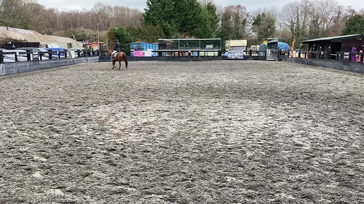 Hurtstock over the moon (Ollie) & Debby Booth P7, ...