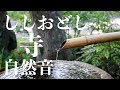 【癒し系】自然音　ししおどし　寺《1時間》